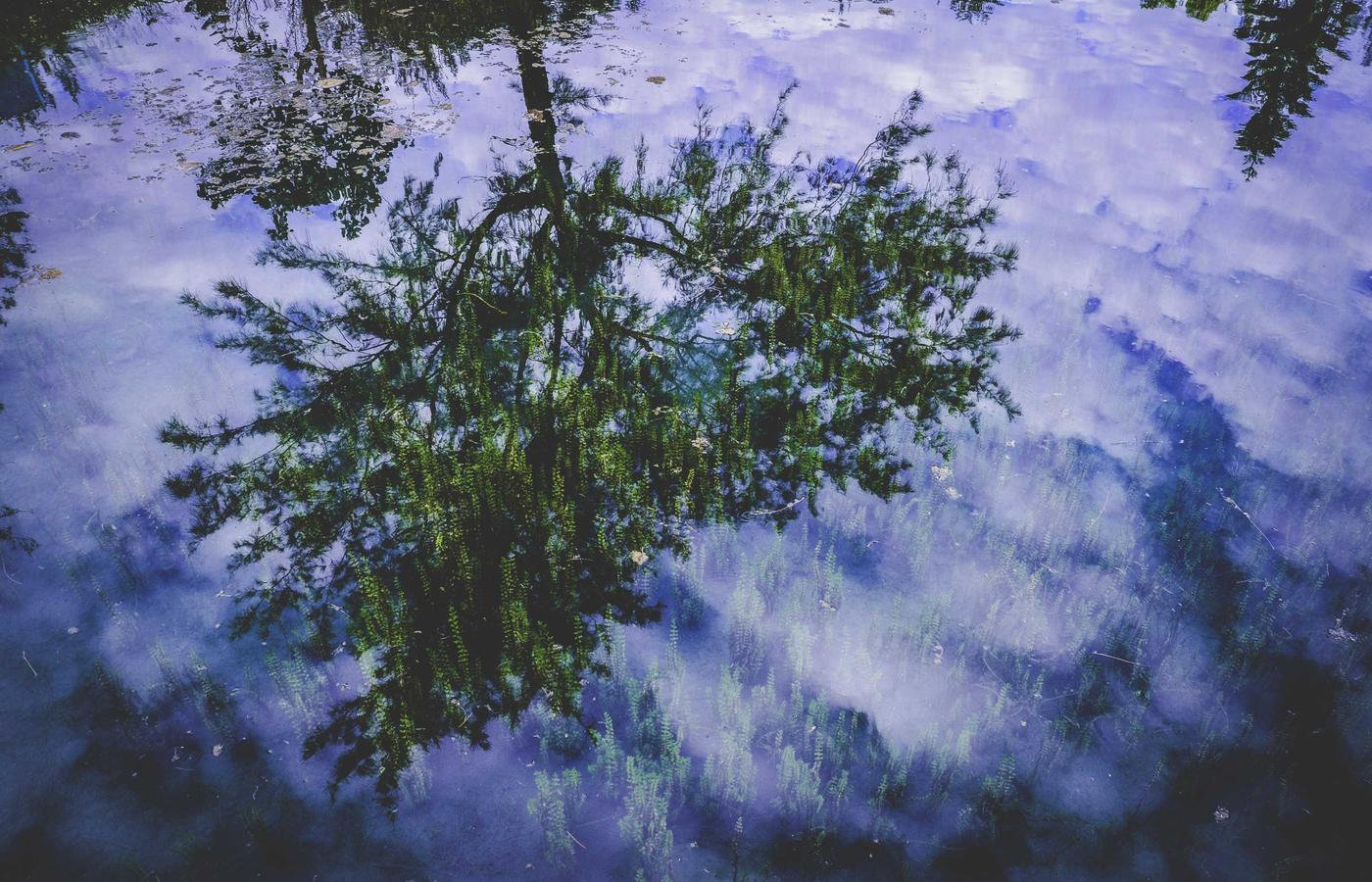 Статья про гидратацию