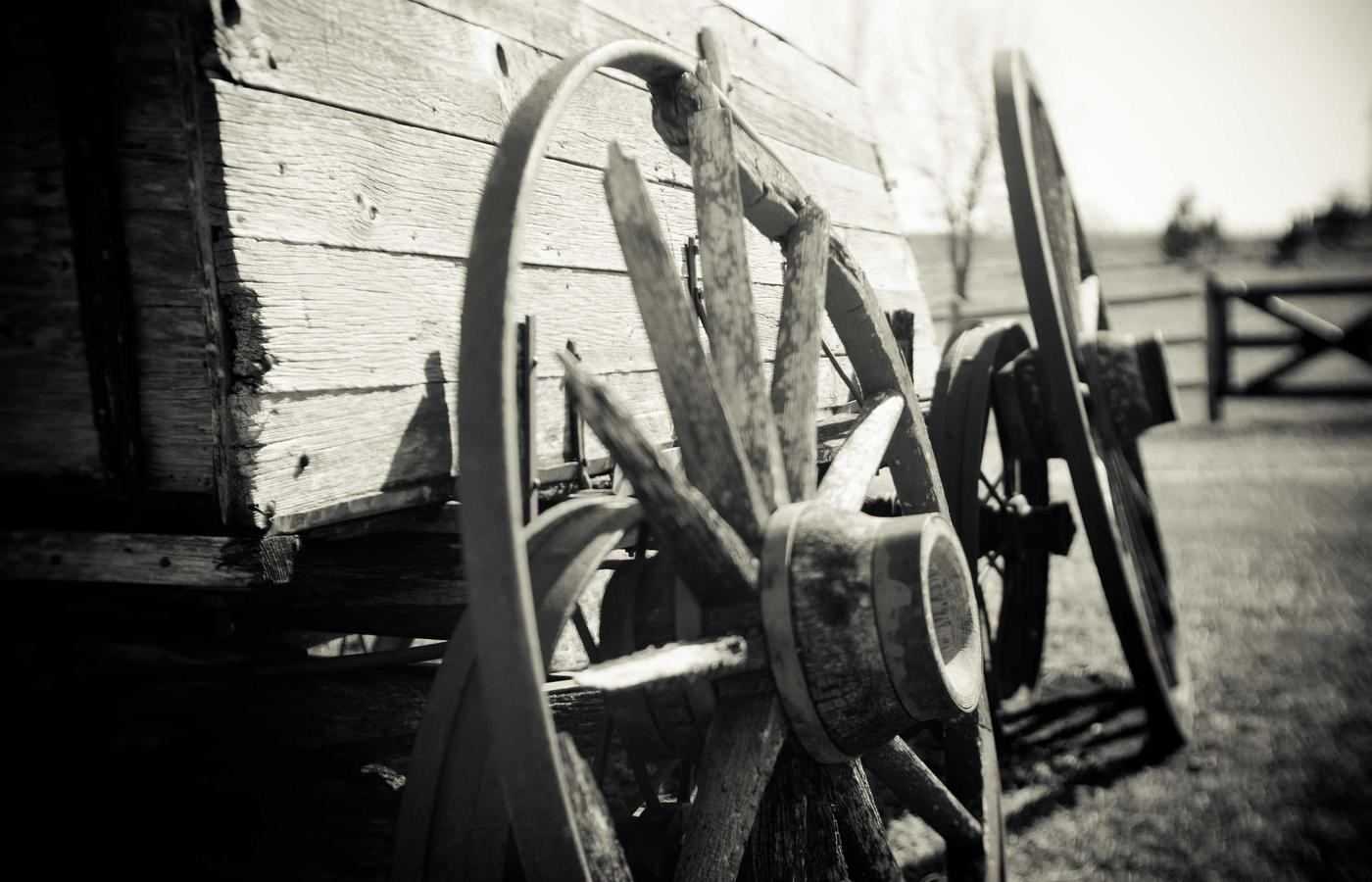 Команда диетологов обсуждает план питания